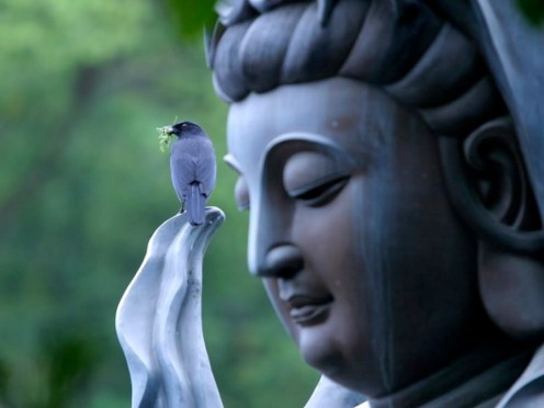 Kuan-Yin-and-Bird