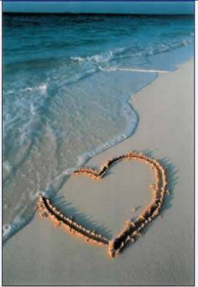 15940823_314707738926541_8155553368262476043_n