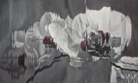 Jens Hesse_sat31_orchids_2011_84x51