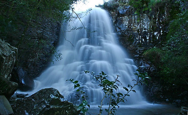 02c6ff28595fcb6ab39d30966a794ca9