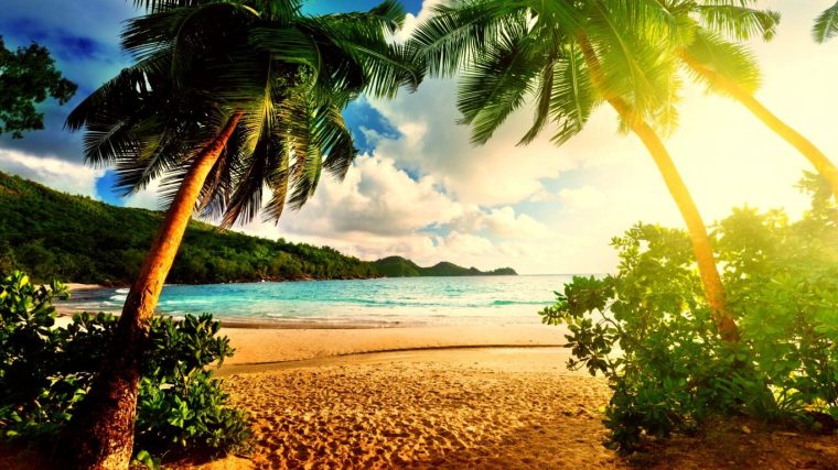 Palm Beach Island Ocean Wallpaper 4k