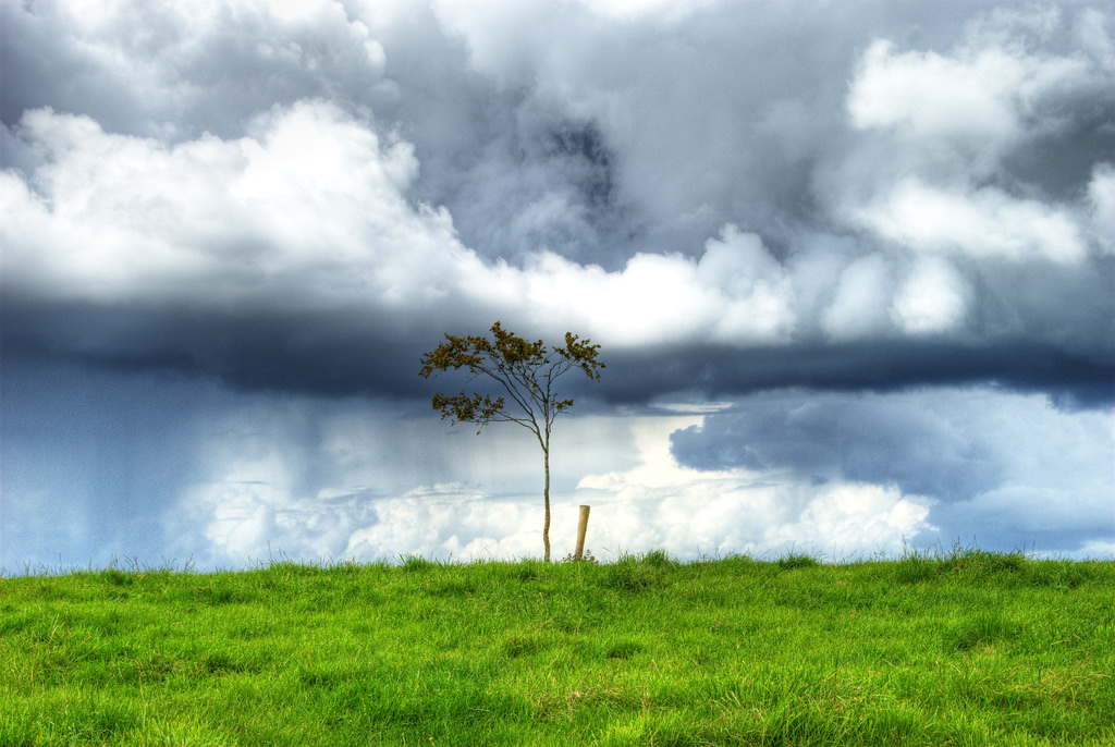 1130168958_bf355b95b9_b