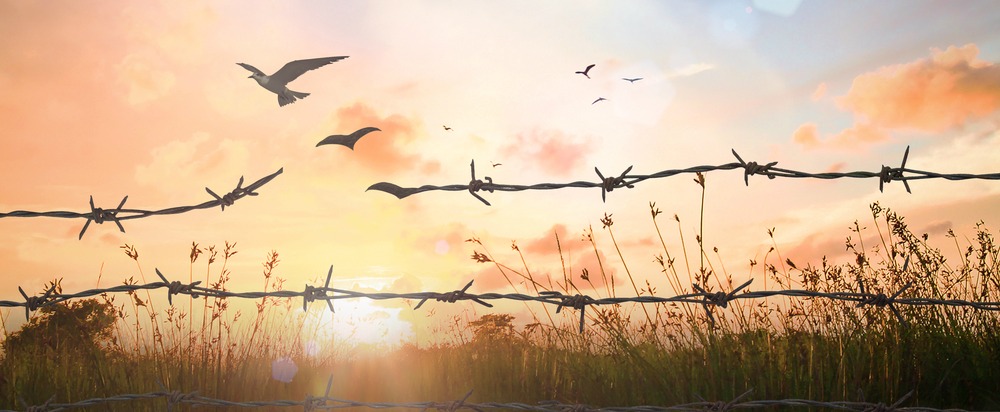 shutterstock_362993231-CROPPED