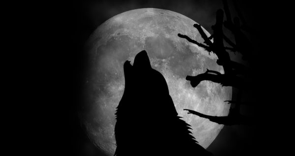 Full-Wolf-Moon-i639609648-600x319